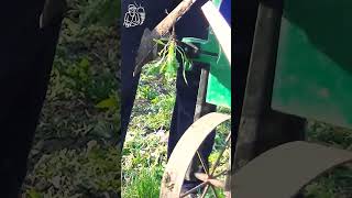 Двойной плоскорез для быстрой прополки Насадки на универсальный ручной культиватор #Shorts