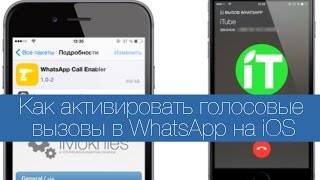 Как активировать голосовые вызовы в WhatsApp на iOS