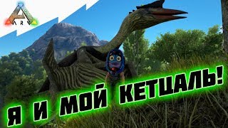 ? Это птица? Это самолёт? Нет! Это новый кетцаль!
