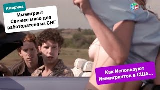 Как потерять ГринКарту и никогда не получить Гражданство США Нелегально на Траке по Америке Криминал