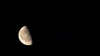 새벽 달빛 귀뚜라미 소리 Moonlight and crickets