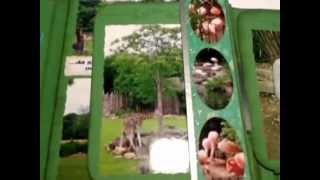 [Craft Update #1] Mein erstes DIY Fotoalbum!