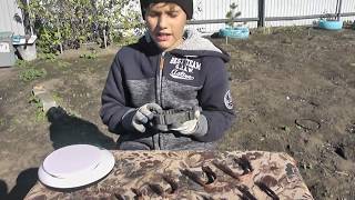 РАЗБОР СТИРАЛЬНОЙ МАШИНЫ(МАЛЮТКА)! СКОЛЬКО МЕДИ В СТИРАЛЬНОЙ МАШИНЕ(МАЛЮТКА)! (ПУТЬ К ПК!)