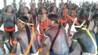 Festa xikrin(1)