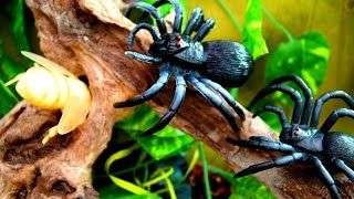 ГЛУПАЯ МУХА! БЕРЕГИСЬ, ПАУКИ!!!Динозавры.Для детей.Видео игрушки