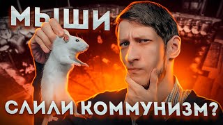 Мыши Cлили Коммунизм? Вселенная 25 l Научный Разбор
