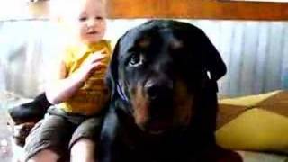 My Rottweiler and my son Edvin attacked...!!.........With kisses :-)