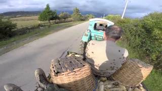 Дети кукурузы )))