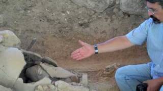 Inhumations, Cremations, Jar Burials, and Dog Skeleton