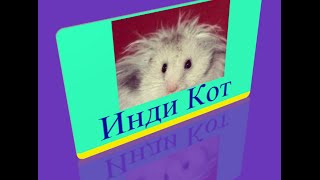 802 уровень   Инди кот