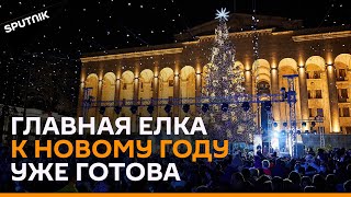 На главной елке Грузии зажглись огни: праздничное настроение в Тбилиси