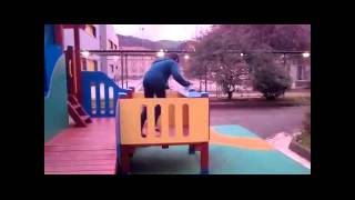 Parkour de niños 2015