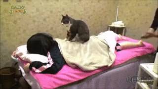 Asian Pussy Massage