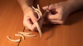 Russian Girl cutting her long nails after 2 yrs.
