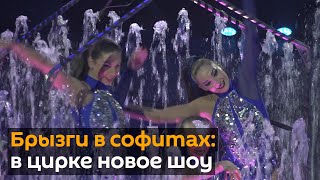 Водная феерия под куполом цирка. Новое шоу в Минске.