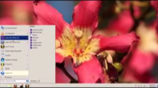 remove self starting exe files from your start up folder