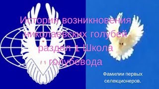 История возникновения николаевских голубей раздел 1 Школа голубевода