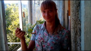 Девочка съела ложку корицы