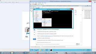 Revoking Orphaned Certificates