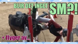 BLIR DET INGET SM?