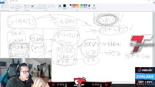ZorlaK sobre as recentes mudanças nas equipas de CS:GO PT