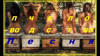 Песня про пчелок