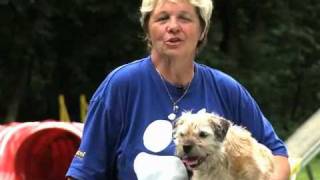 Das Voting - Frolic Ringosuperstar 2011