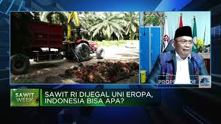 UU Anti Deforestasi Uni Eropa Disahkan, Nasib Sawit RI Bagaimana?