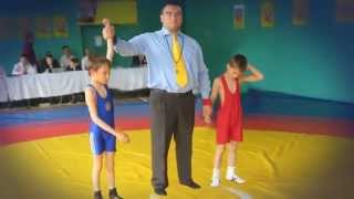 Школа вольной борьбы