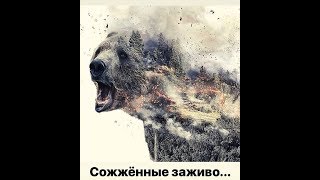 Эко геноцид - Shnobic (Doom rock/Post rock)