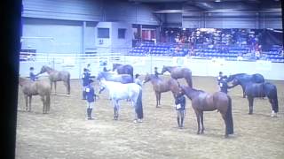 World Championship 2014 Lorie Amy Open