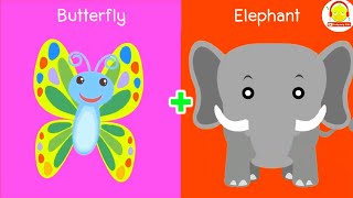ช้างรวมร่างกับผีเสื้อ Elephant Butterfly Fusion Animation +เพลงผึ้ง เพลงช้าง