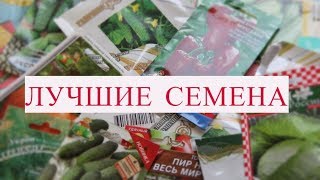 ЛУЧШИЕ СЕМЕНА, ЧТО Я КОГДА-ЛИБО ПОКУПАЛА! 100% ВСХОЖЕСТЬ! ШИКАРНЫЙ УРОЖАЙ!
