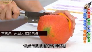養生廚房 -  木鱉果 來自天堂的果實！