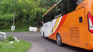Sensasi Rombongan Bus Tri Kusuma di jalan wisata TANJAKAN TIKUNGAN COLO SUNAN MURIA