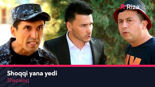 Shapaloq - Shoqqi yana yedi