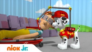 Щенячий патруль | Щенки спасают представление ? | Nick Jr. Россия
