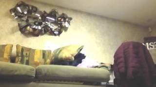 my cool sexy video lol