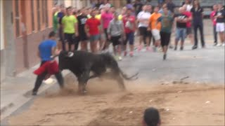 MASSAMAGRELL  vaquesibous recortes y quiebros bous al carrer  11 10 14