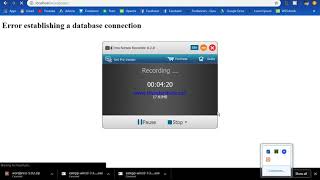 WordPress Setup