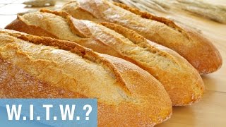 What in the world are Carbohydrates?