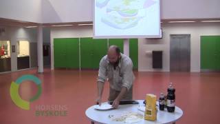Geologi på hverdagssprog. Naturvidenskabsfestival på Horsens Byskole