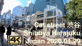【4K】Cat street Harajuku-shibuya Tokyo Japan キャットストリート散歩  2020.01.29  GoPro HERO7
