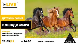 Детский эфир "Лошади мира" в рубрике "Путешествия с натуралистом" вместе с Александром Аболицем