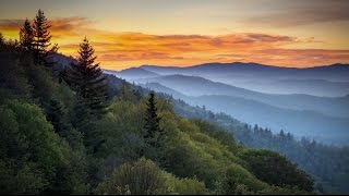 Mountain Hiking in Tennessee