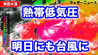 【熱帯低気圧情報】海水温高く発達　今後、台風になる予想