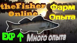 theFisher Online Огромный фарм опыта на 5кг Судаках (Домаха)