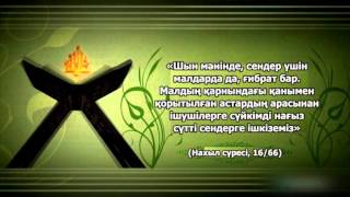 Біз Құранды білеміз бе? - "Құрандағы табиғат құндылықтары"