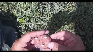 Ловля карася с берега на соску ( пробка ).