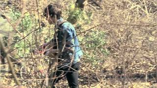 Wooly & the Mammoth - Fallen Down